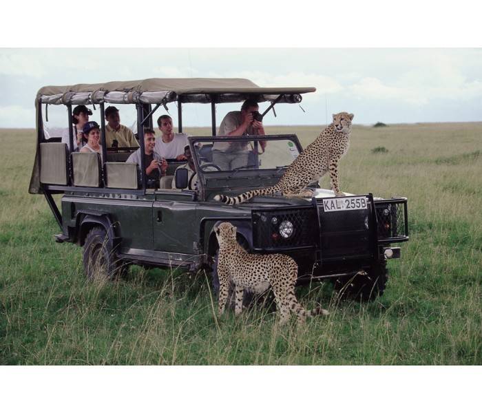 유럽여행보다 더 비싸다는 아프리카 여행 | 인스티즈