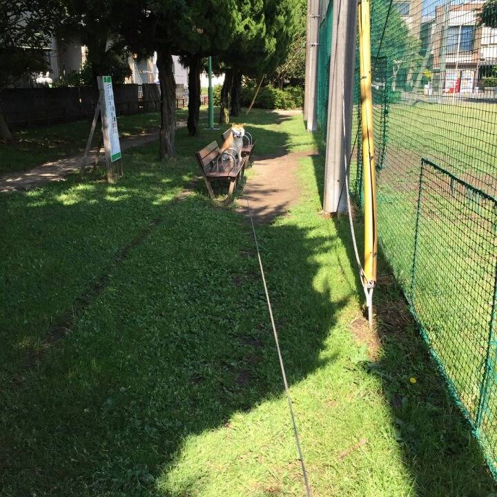 아직 돌아가기 싫어 시바.jpg | 인스티즈