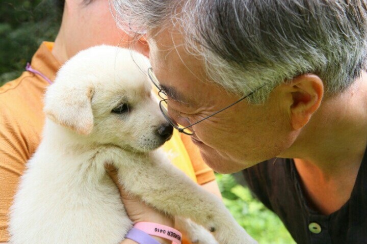 문재인 반려견 마루♡지순의 이야기 | 인스티즈