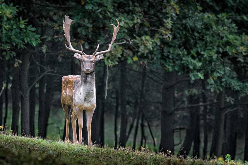 돔물믜 뫔국 | 인스티즈