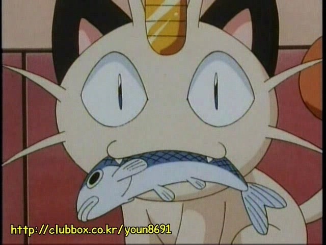 [포켓몬] 나옹이의 가나다라마바사 | 인스티즈