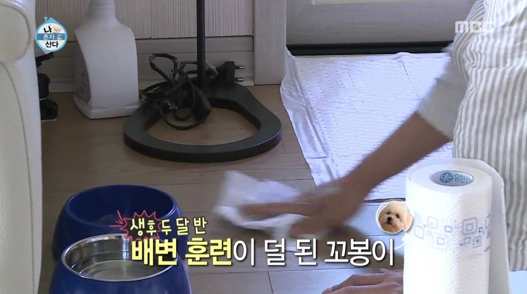 나혼자산다 윤현민편 꼬봉이 캡처(feat.올블랙) | 인스티즈