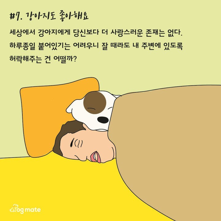 강아지와 침대에서 함께 자면 좋은이유 7가지 | 인스티즈