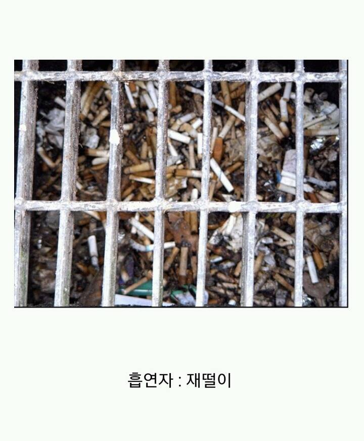 꽁초충 길빵충 가래충이 시룸인 이유 (feat.푸념주의) | 인스티즈