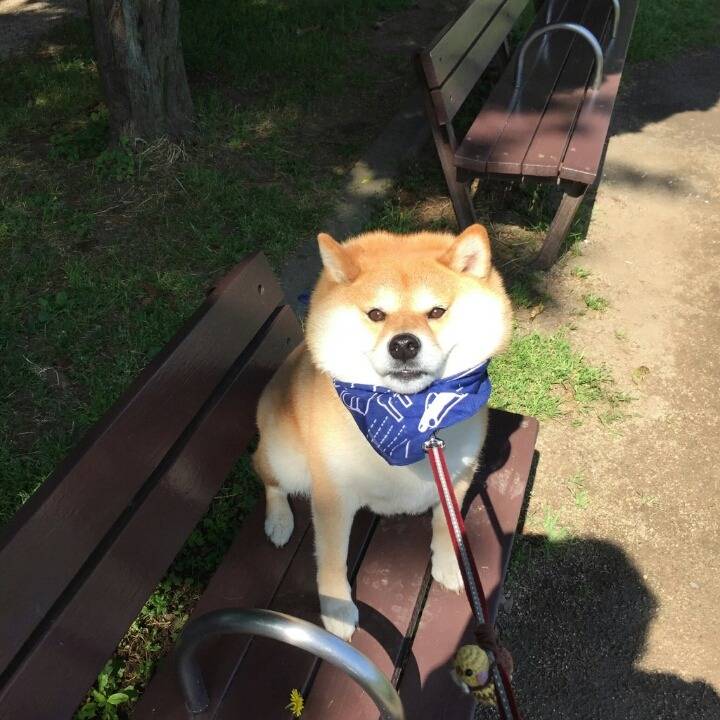 아직 돌아가기 싫어 시바.jpg | 인스티즈