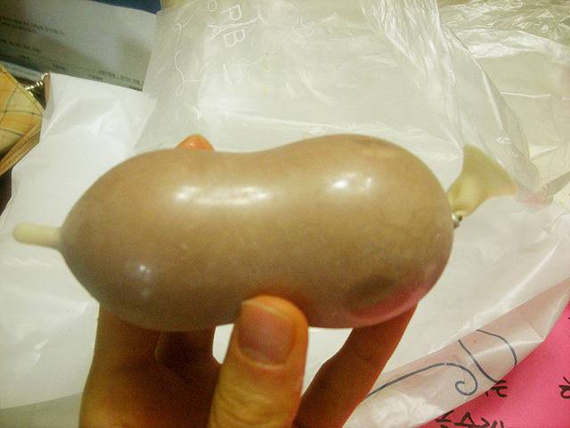 왠지 먹을때 야한생각하게되는 아이스크림 | 인스티즈