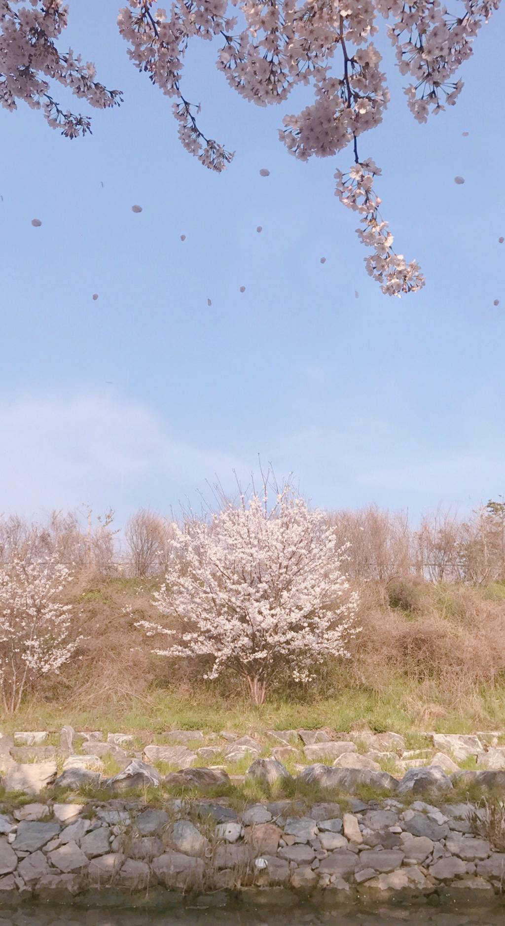 [부산광역시] 부산의 센치함 | 인스티즈