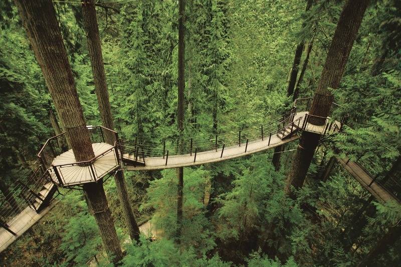 캐나다 대학 캠퍼스 수준 | 인스티즈