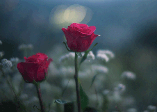 상대방의 본성을 아는 법 | 인스티즈