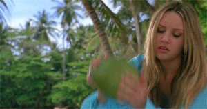 [러브렉트] 최애와 무인도에 갇혔다고 좋아했는데 무인도가 아니었음ㅋㅋㅋㅋㅋㅋㅋ | 인스티즈