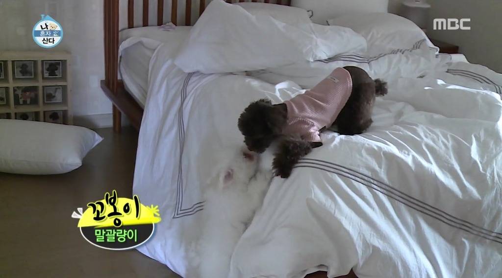 나혼자산다 윤현민편 꼬봉이 캡처(feat.올블랙) | 인스티즈