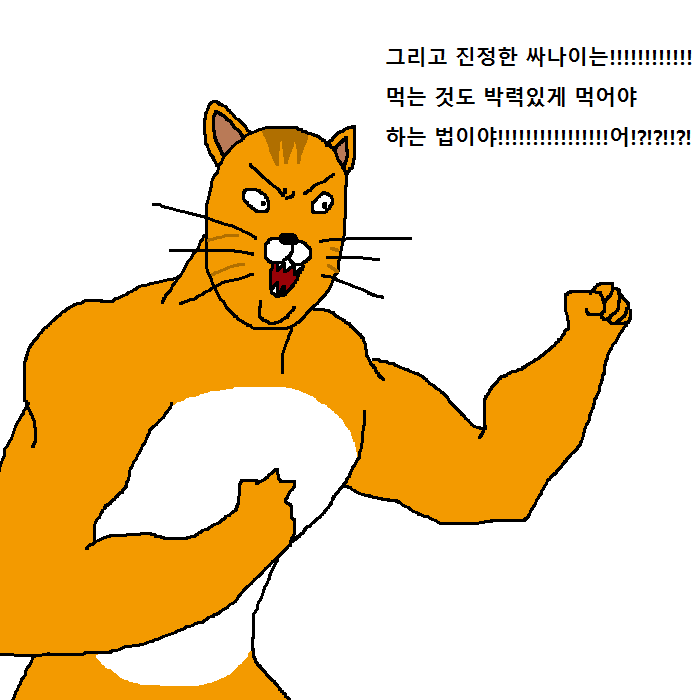 상남자 고양이의 아들 교육법 | 인스티즈