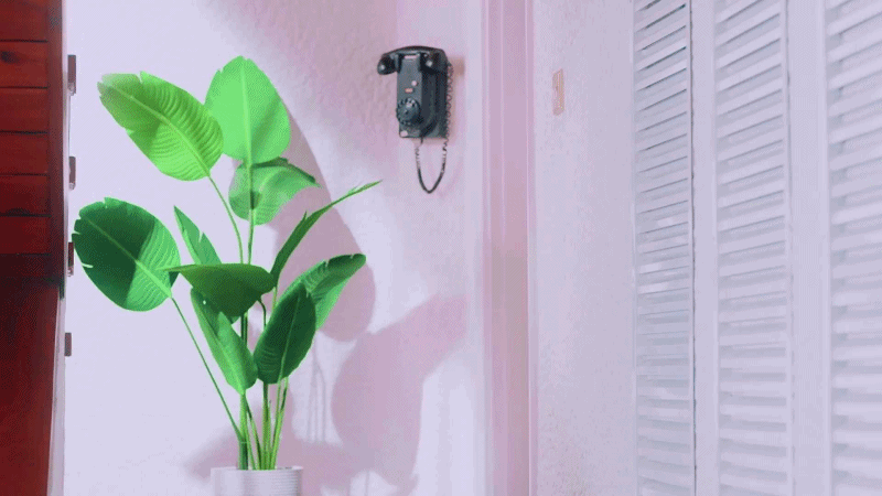 신인걸그룹 애플비 비쥬얼멤버 유림 (움짤) | 인스티즈