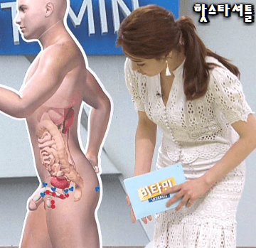 비타민 레전드 | 인스티즈