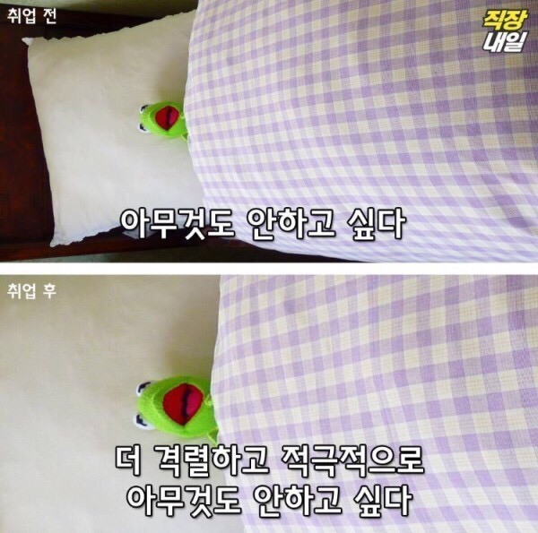 월요병걸린 쌍커들을 위한 취직전 vs 취직후 (개구리 귀여움 주의)-이미지 추가 | 인스티즈