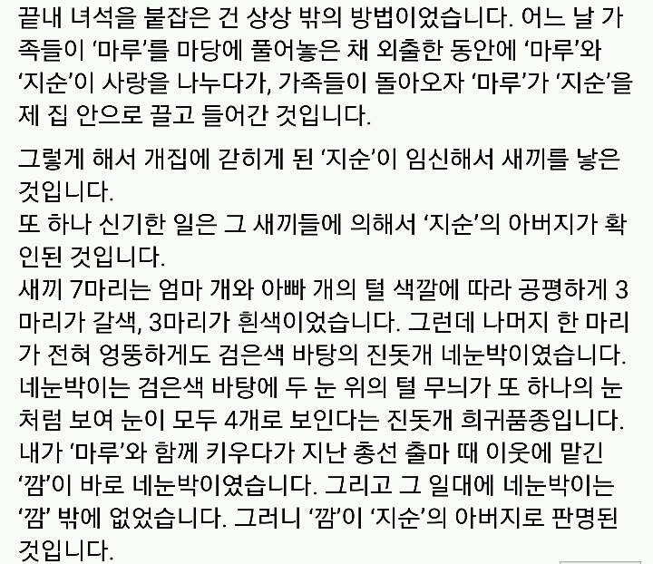 문재인 반려견 마루♡지순의 이야기 | 인스티즈