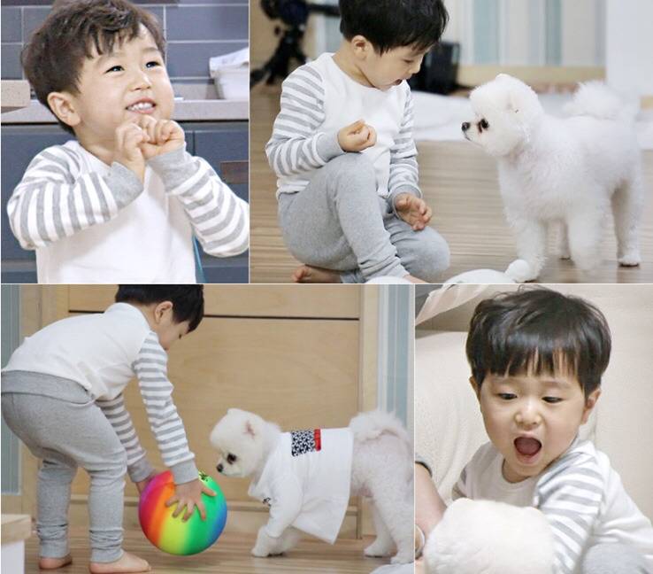 강아지 산책시키면서 짜증나는 상황들 | 인스티즈