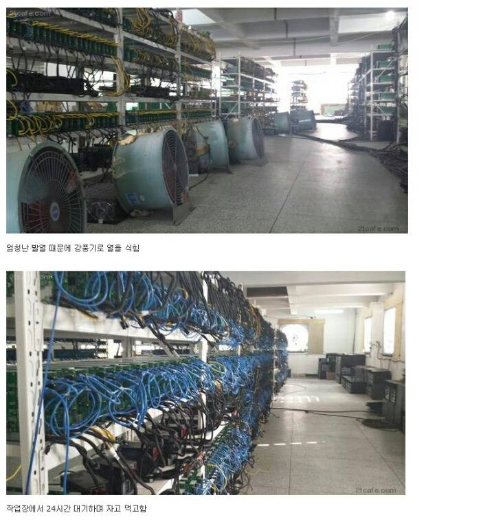 중국의 비트코인 장인 ㄷㄷㄷㄷㄷ | 인스티즈