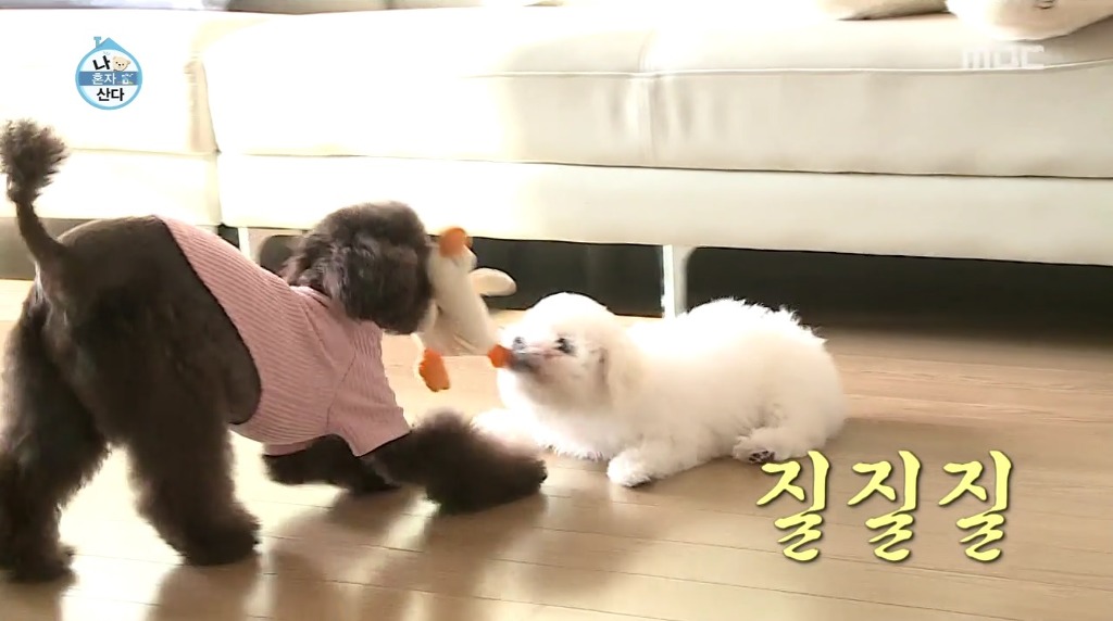 나혼자산다 윤현민편 꼬봉이 캡처(feat.올블랙) | 인스티즈