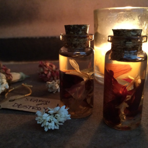 특별한 능력을 가진 마녀의 물건 중 하나를 고르시오 | 인스티즈