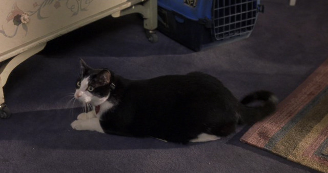 영화 더 프린세스 다이어리.jpgif (The Princess Diaries 2001) | 인스티즈