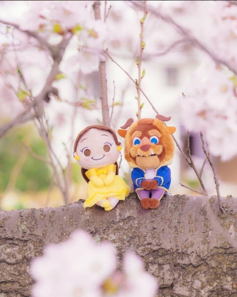 조신하게 앉아있는 인형들 | 인스티즈