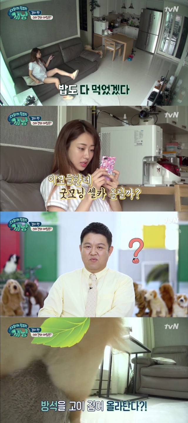 [대화가필요한개냥] 나인뮤지스 경리와 사랑스러운 반려견 시로.jpg | 인스티즈