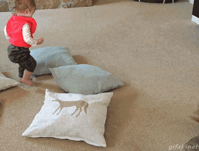 고양이의 놀라운 반사신경 | 인스티즈