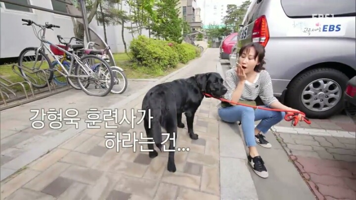 [세나개] 강형욱 훈련사의 팬인 봄이의 보호자들.jpg | 인스티즈