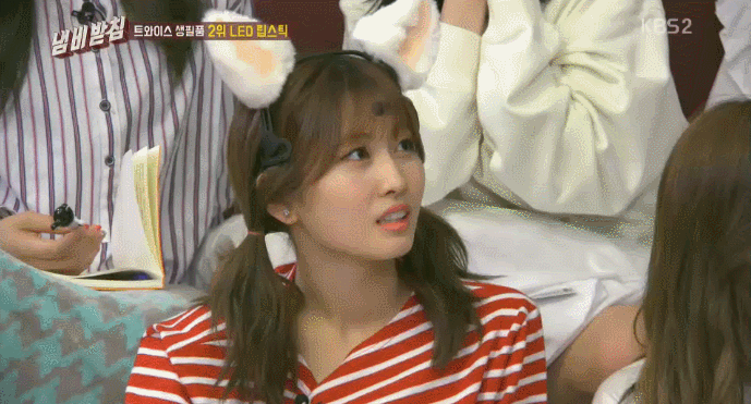 모모+고양이 | 인스티즈