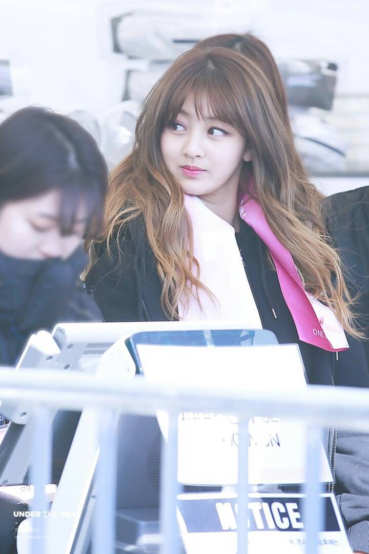 2월부터 4월까지 트와이스 지효 | 인스티즈