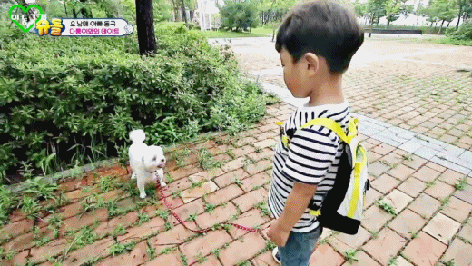 [슈돌] 강아지와 산책하다가 똥 치워주는 대박이 | 인스티즈