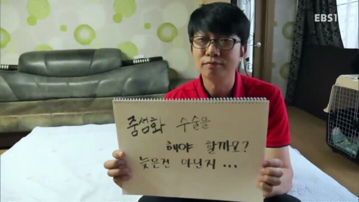 [세나개] 강형욱 훈련사의 팬인 봄이의 보호자들.jpg | 인스티즈