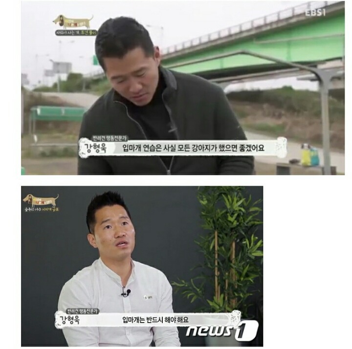 반려견 입마개를 해야 하는 이유 | 인스티즈