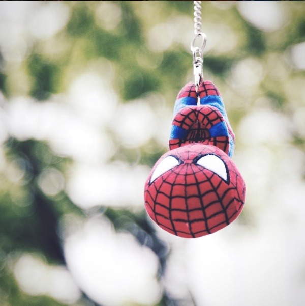 조신하게 앉아있는 인형들 | 인스티즈