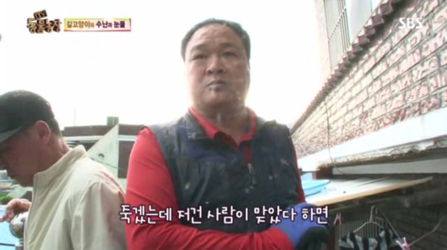 고양이에게 화살 쏜 남자 (이거보면 빡쳐서 잠 못잠) | 인스티즈