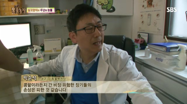 고양이에게 화살 쏜 남자 (이거보면 빡쳐서 잠 못잠) | 인스티즈