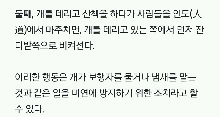 미국인들의 개 산책 문화 | 인스티즈