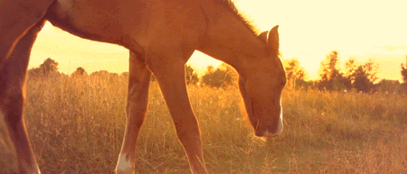 너에게 난 해질녘 노을처럼 한 편의 아름다운 추억이 되고 | 인스티즈