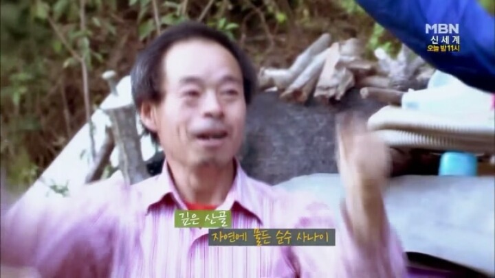 나는 자연인이다 말벌킬러 허명구씨ㅋㅋㅋㅋㅋㅋ | 인스티즈