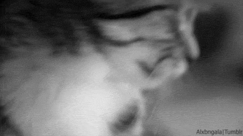 [데이터주의] 동물 움짤 .GIF | 인스티즈