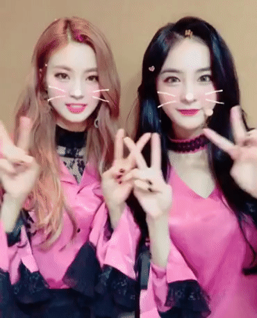 소나무 인스타 디애나현 | 인스티즈