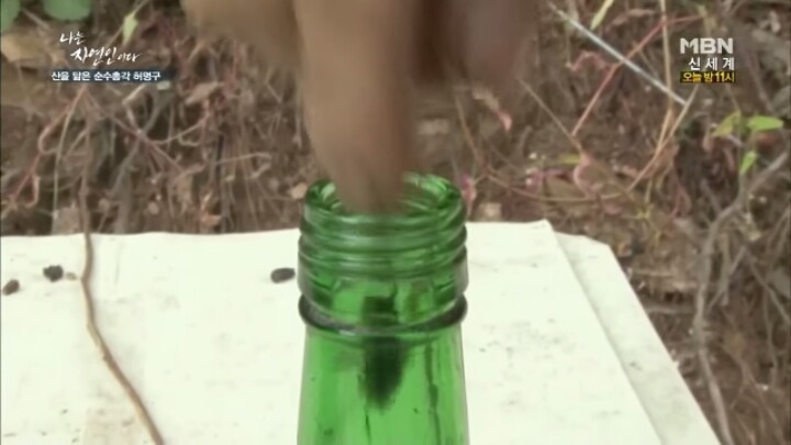 나는 자연인이다 말벌킬러 허명구씨ㅋㅋㅋㅋㅋㅋ | 인스티즈