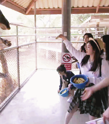 리얼리티 귀여운 아이린.gif | 인스티즈