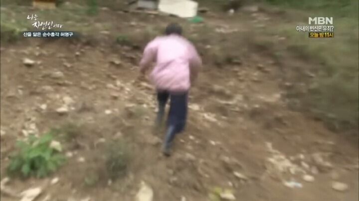 나는 자연인이다 말벌킬러 허명구씨ㅋㅋㅋㅋㅋㅋ | 인스티즈