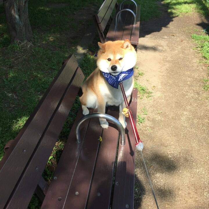 아직 돌아가기 싫어 시바.jpg | 인스티즈