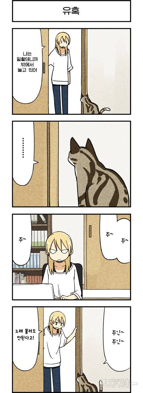 고양이가 말하는 만화.JPG | 인스티즈