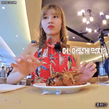 후추크랩이랑 싸우는 트와이스 사나 | 인스티즈