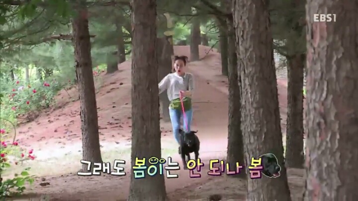 [세나개] 강형욱 훈련사의 팬인 봄이의 보호자들.jpg | 인스티즈