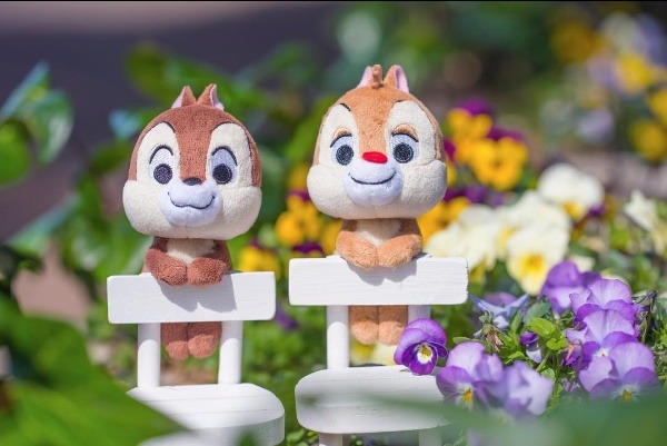 조신하게 앉아있는 인형들 | 인스티즈